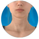 Neck