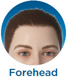 Forehead