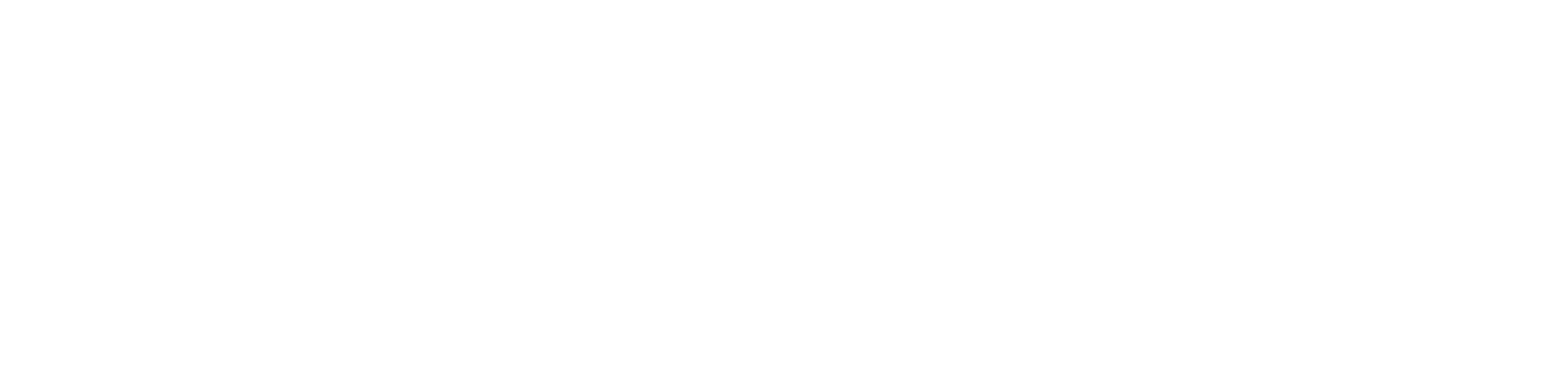 Skuccii Logo